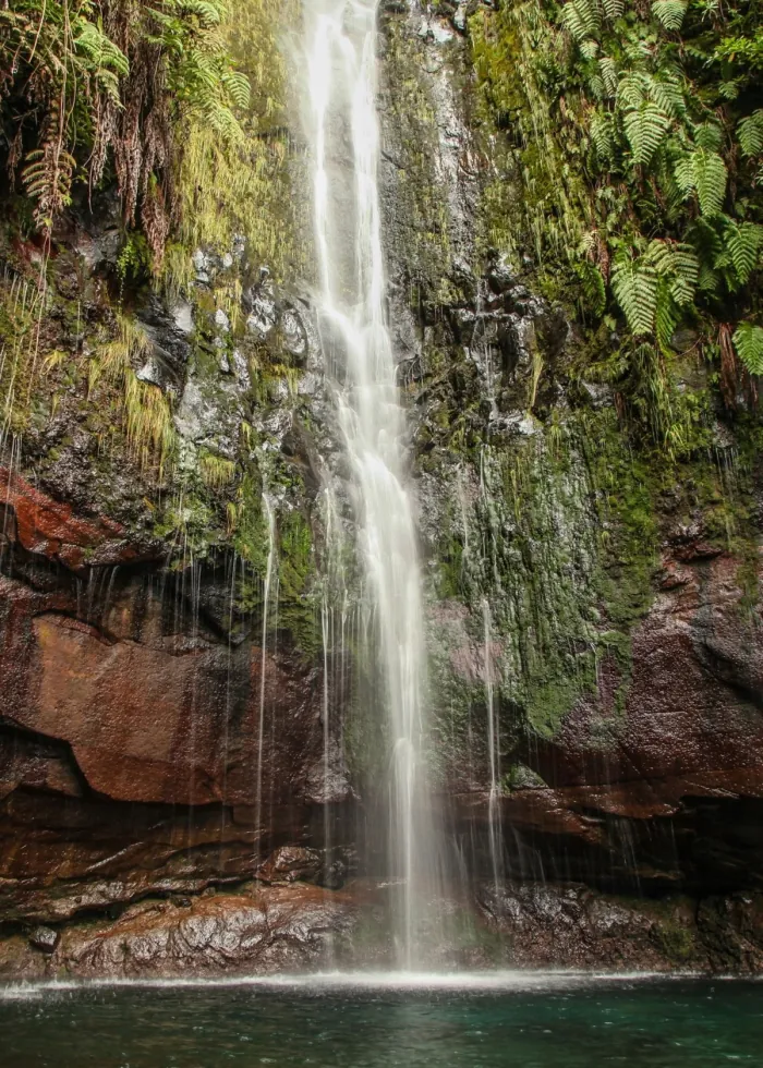 A waterfall falling over rock among ferns, Madeira.