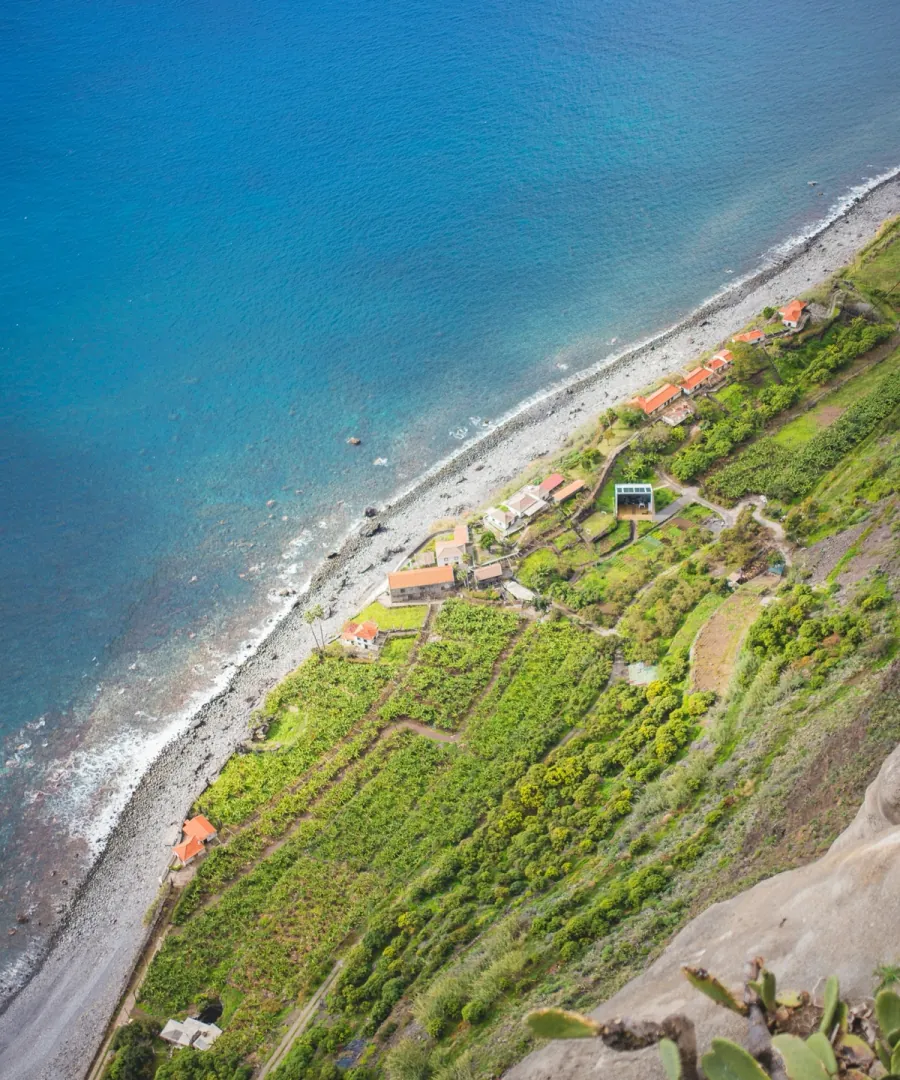 The Madeira coast from above, terraced fields and houses by the sea.